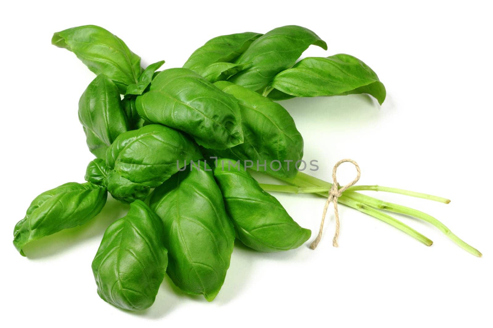 Basil as a bunch