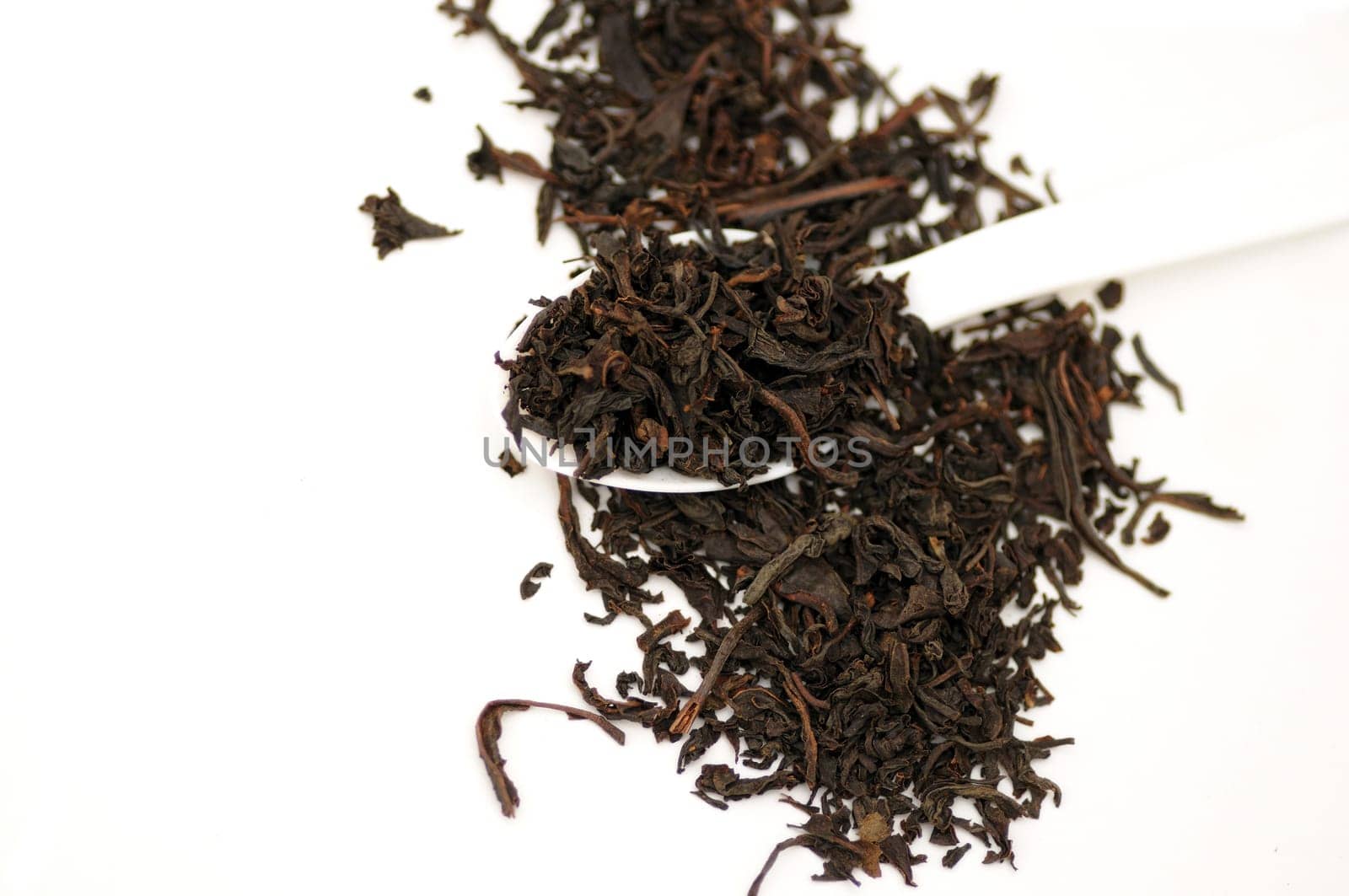A spoon full of freshly processed tea leaves