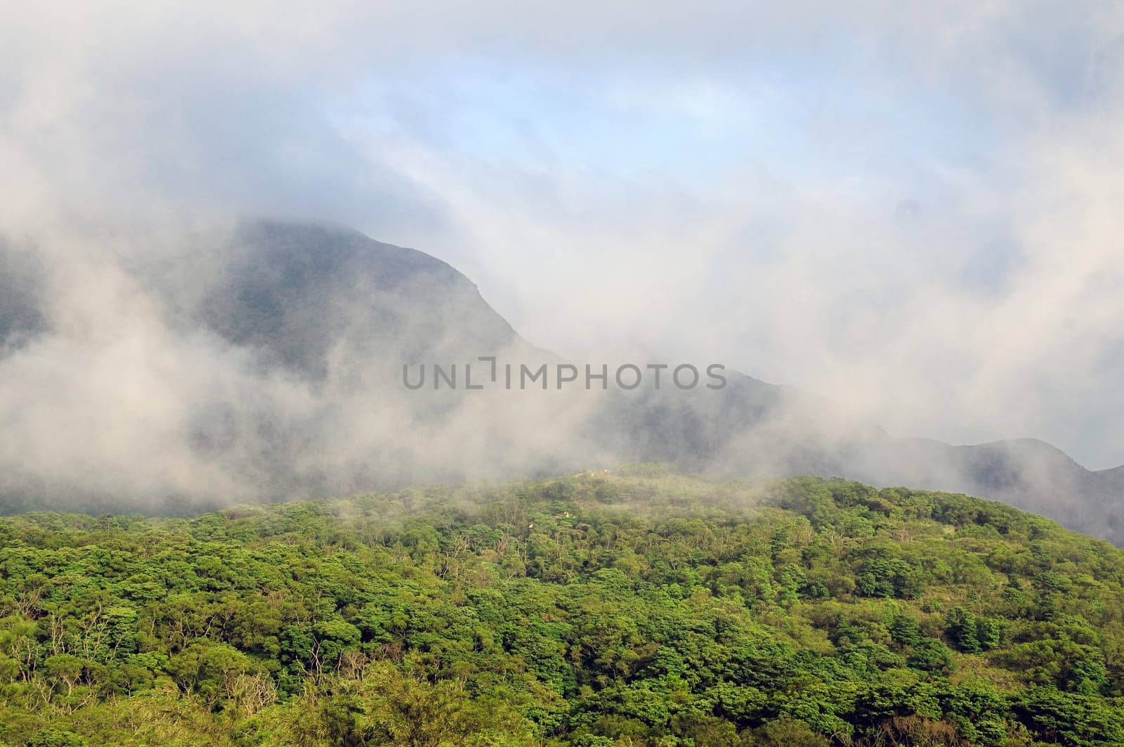 Lush green mountains and low hanging clouds