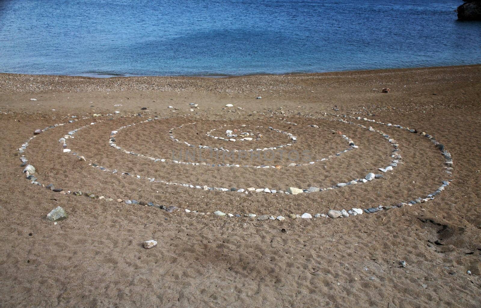 Shells on the beach