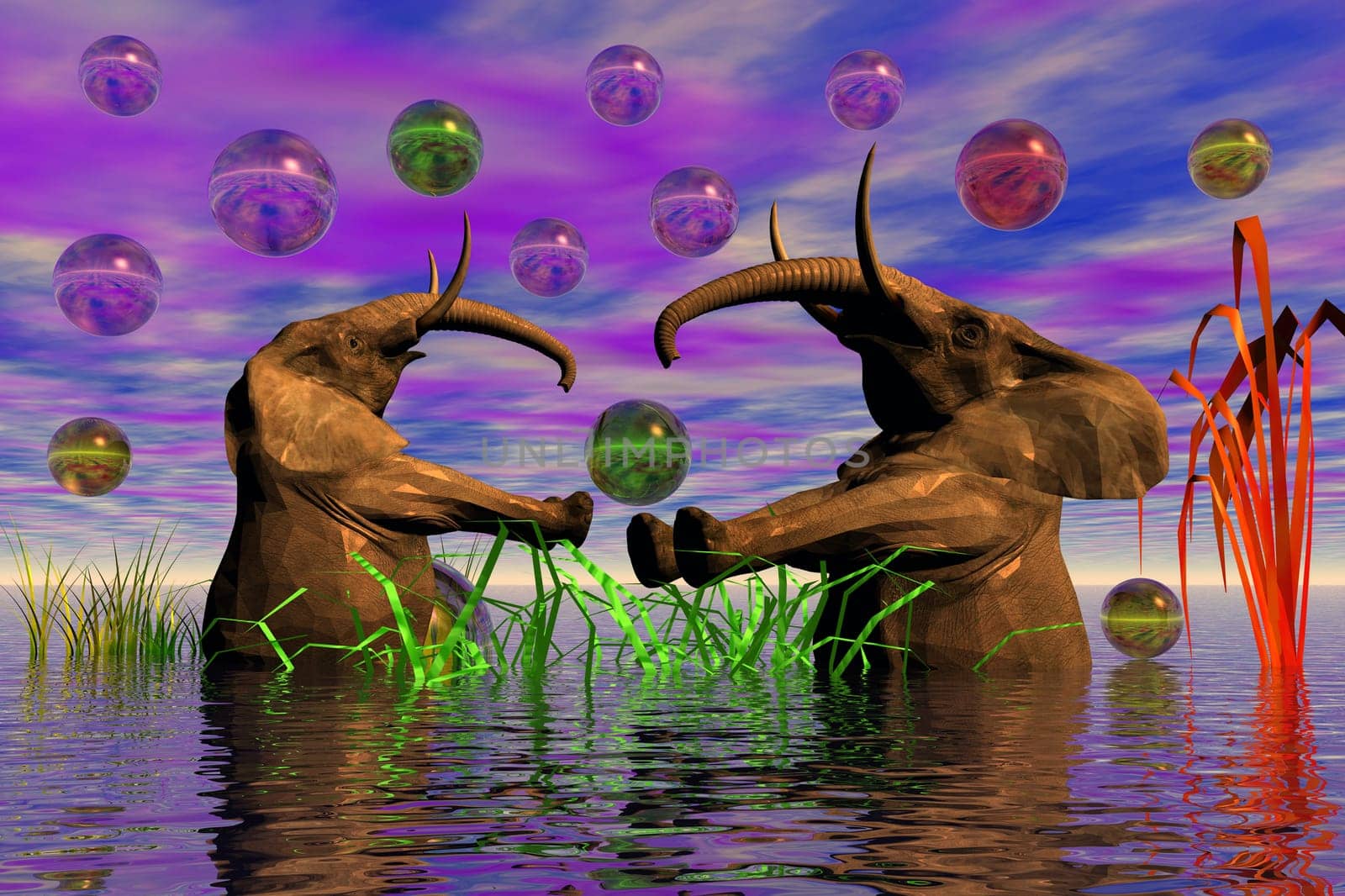 Elephant bath