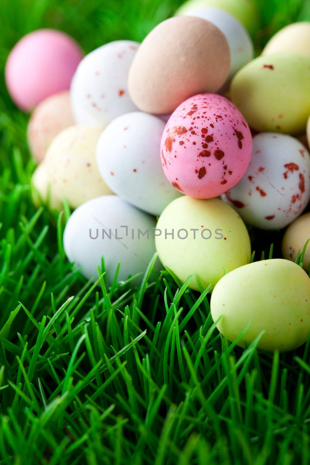 Close-up of pastel colored Easter eggs on grass