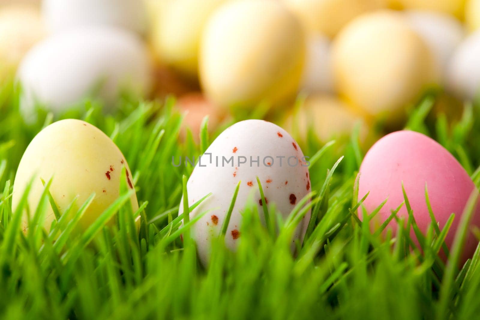 Close-up of pastel colored Easter eggs on grass