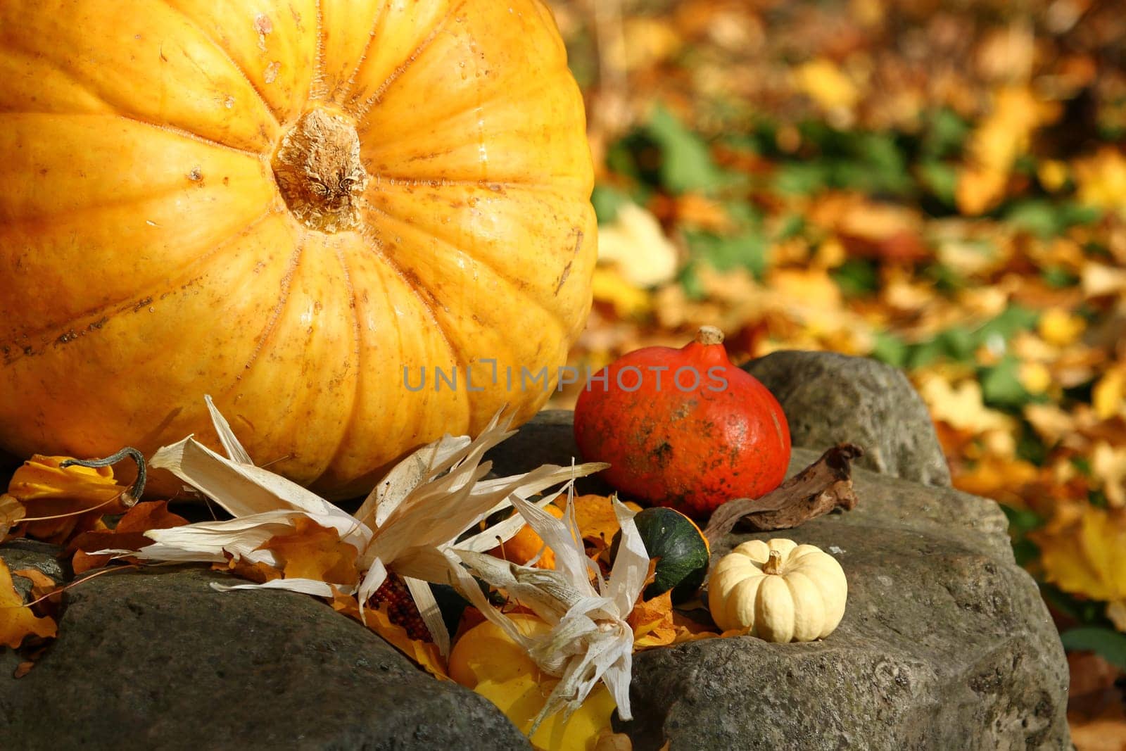 season