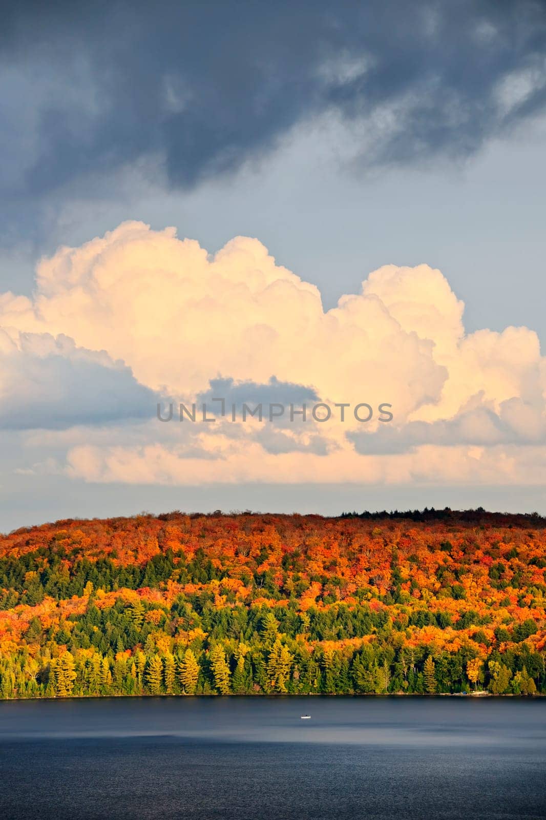 Forest of colorful autumn trees with lake and dramatic sky
