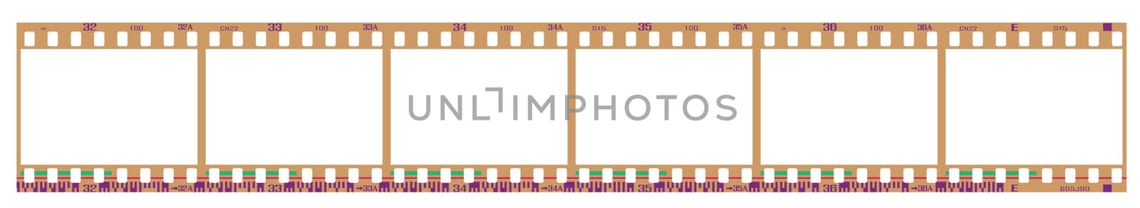 35mm negative frames, with details and accurate dimension. Realistic look.