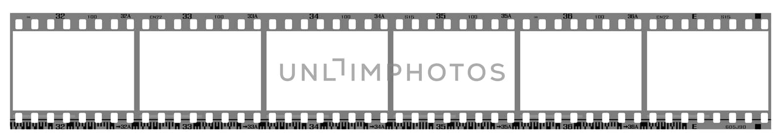 35mm negative frames, with details and accurate dimension. Realistic look.