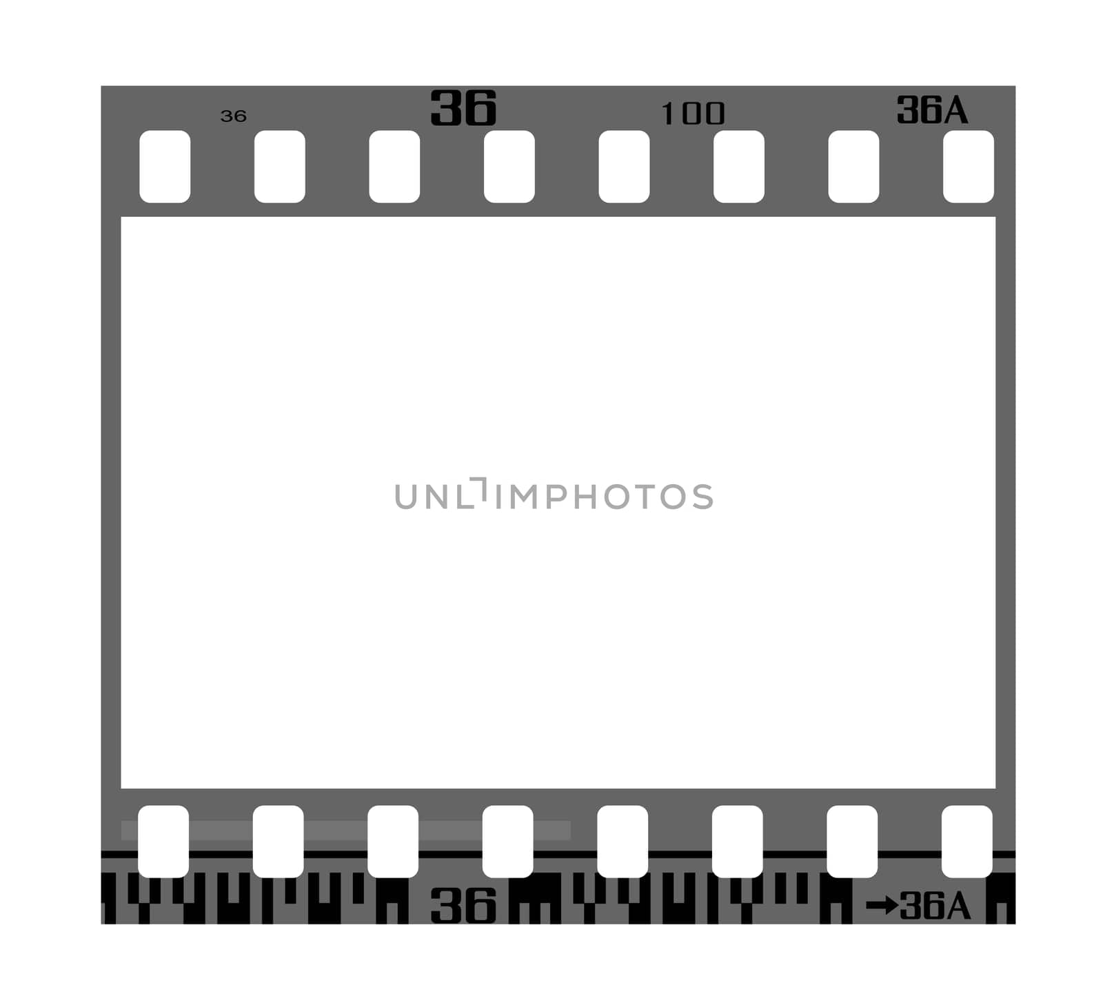 35mm negative frame, with details and accurate dimension.