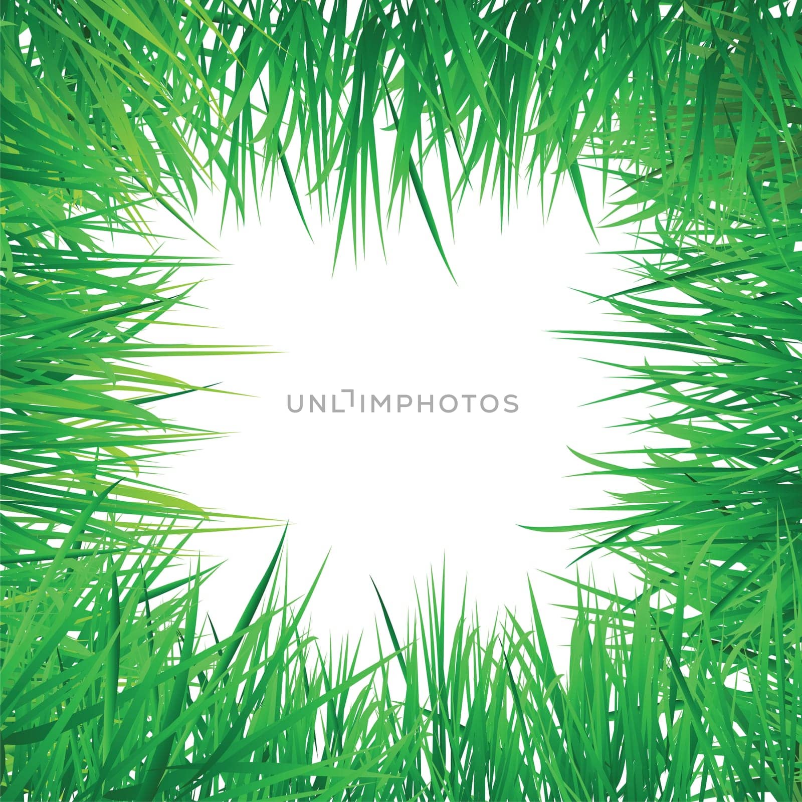 vector grass border, put your image or text at the center.