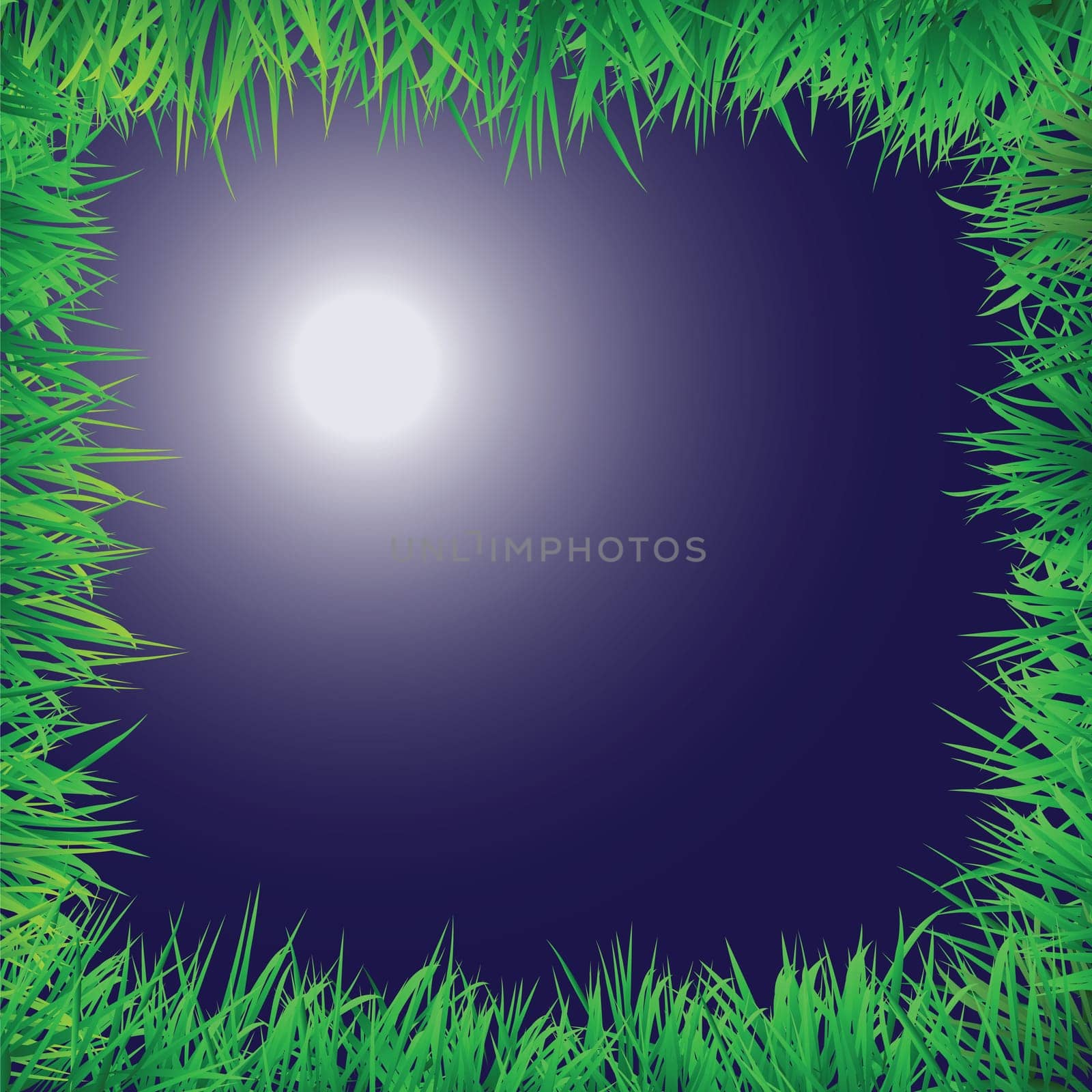 night scene with grass border, to illustrate rural at night.