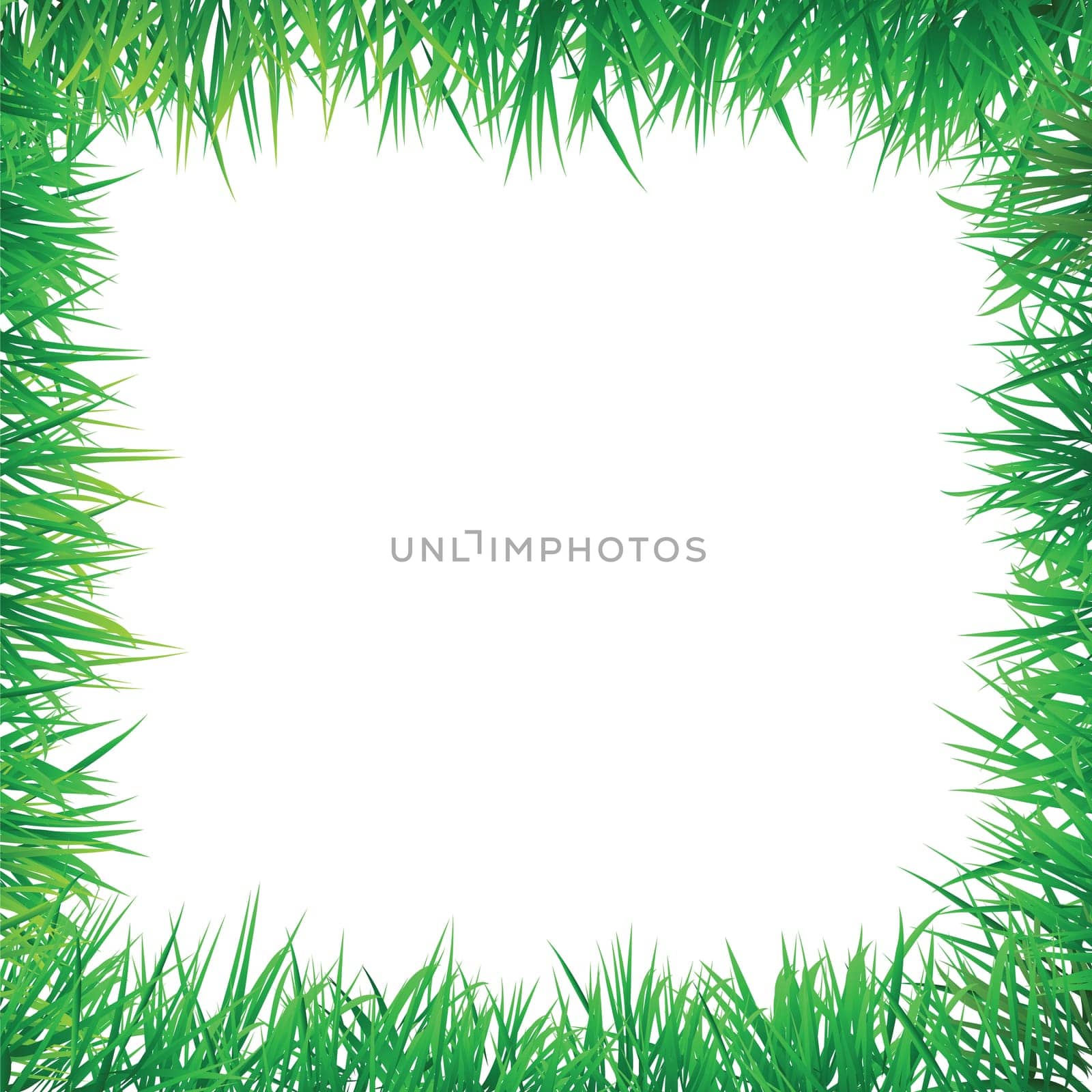 grass decorative border, for green and natural concept.