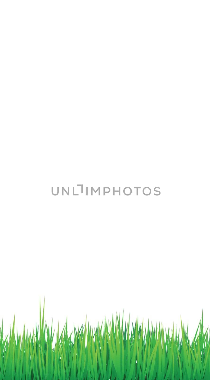 grass borders background, vector can be arranged for seamless effect
