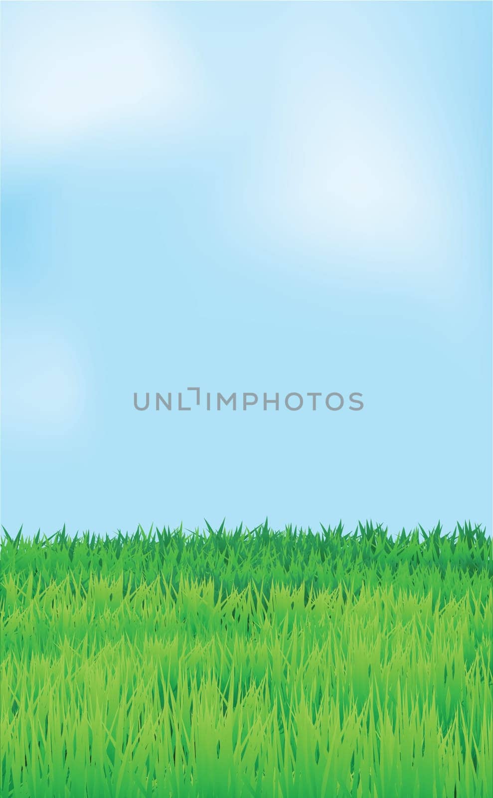landscape, blue sky and green field, vector.