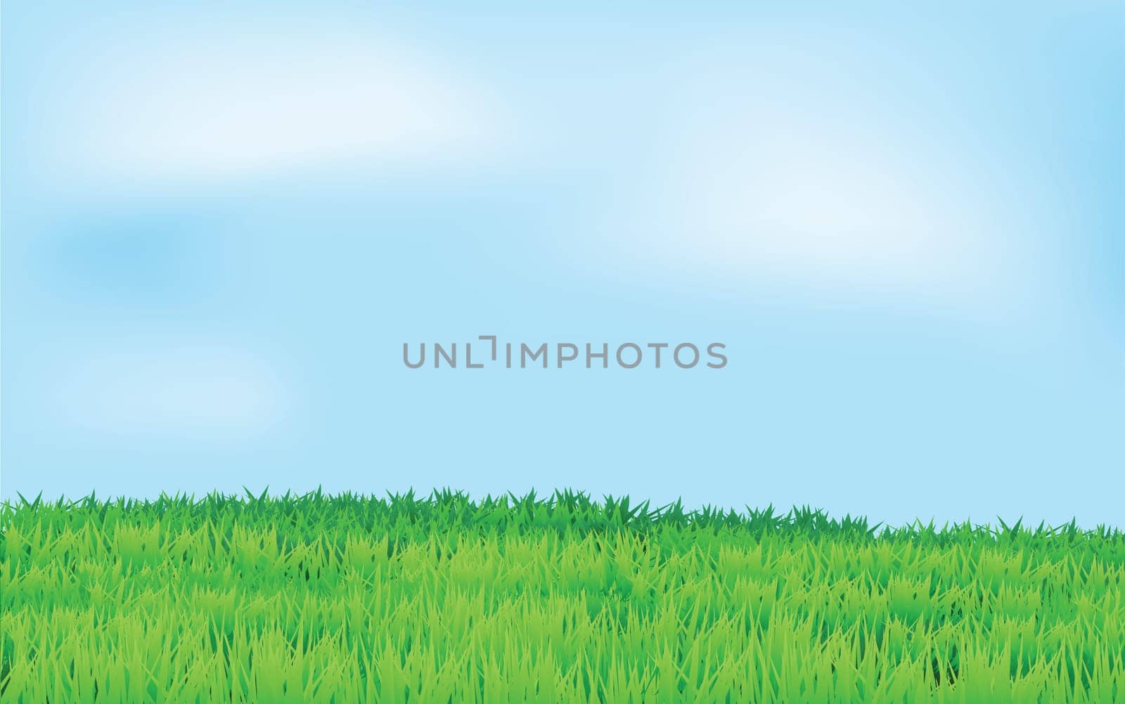 landscape with green field and blue sky in horizontal view, vector.