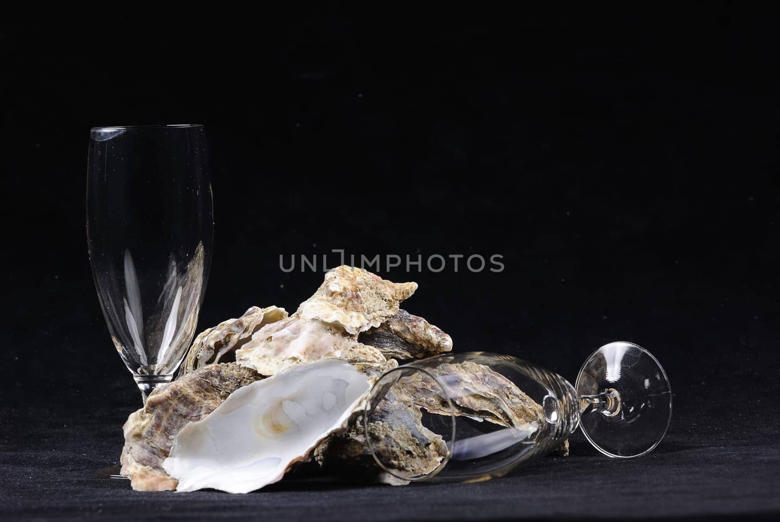 oysters
