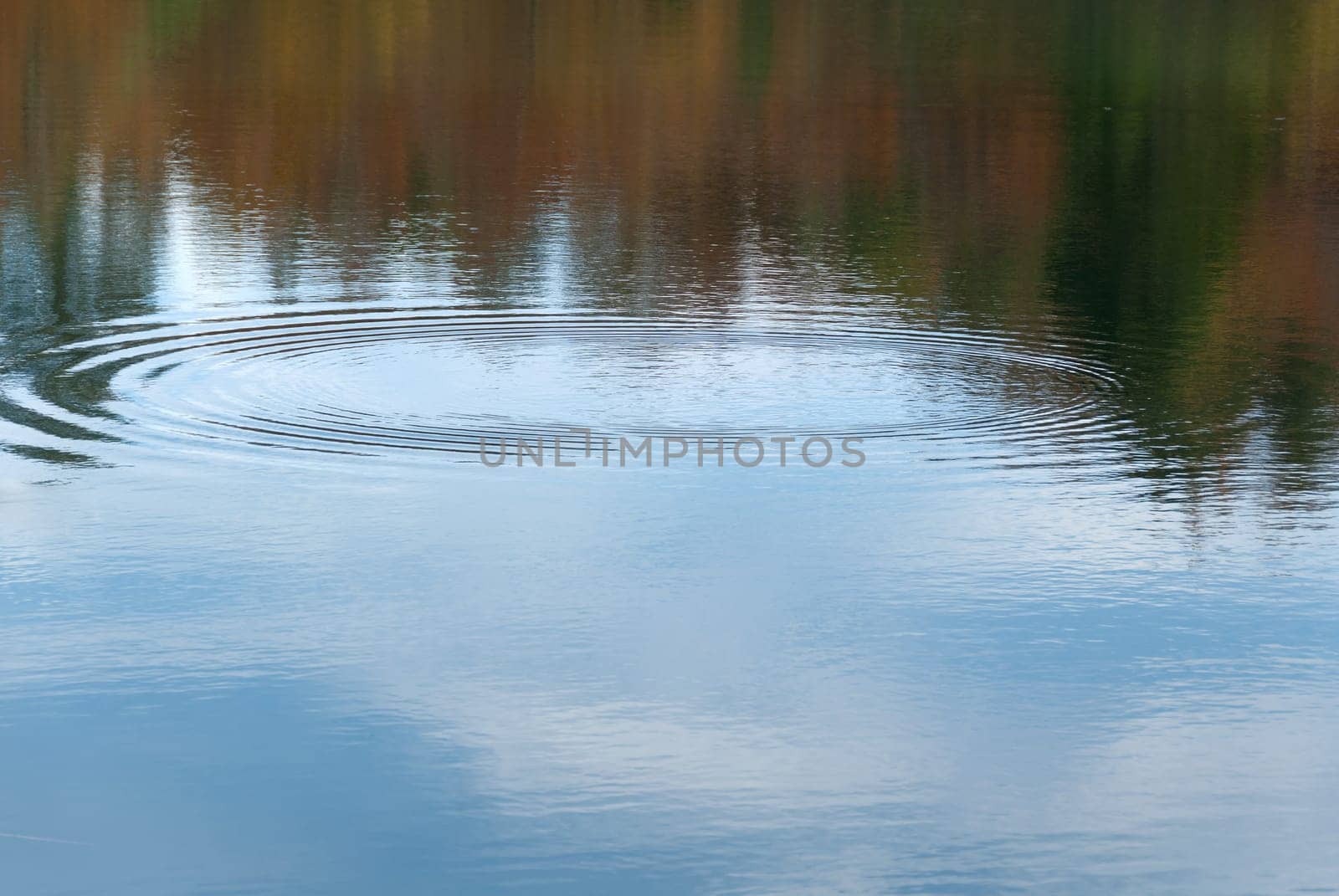 autumn reflected on the lake of the bocco in liguria