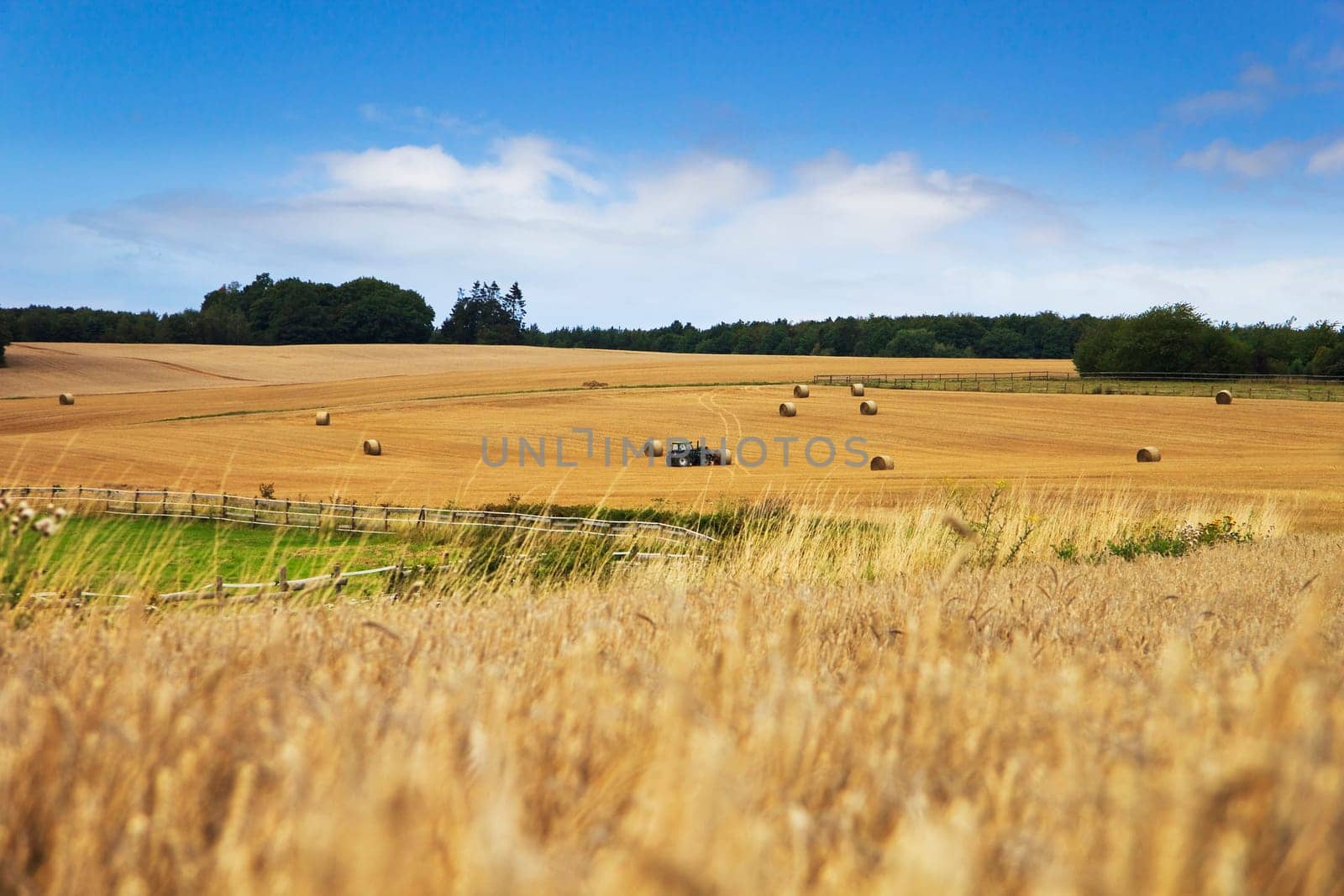 Harvest time - tractor in the field with hay bales