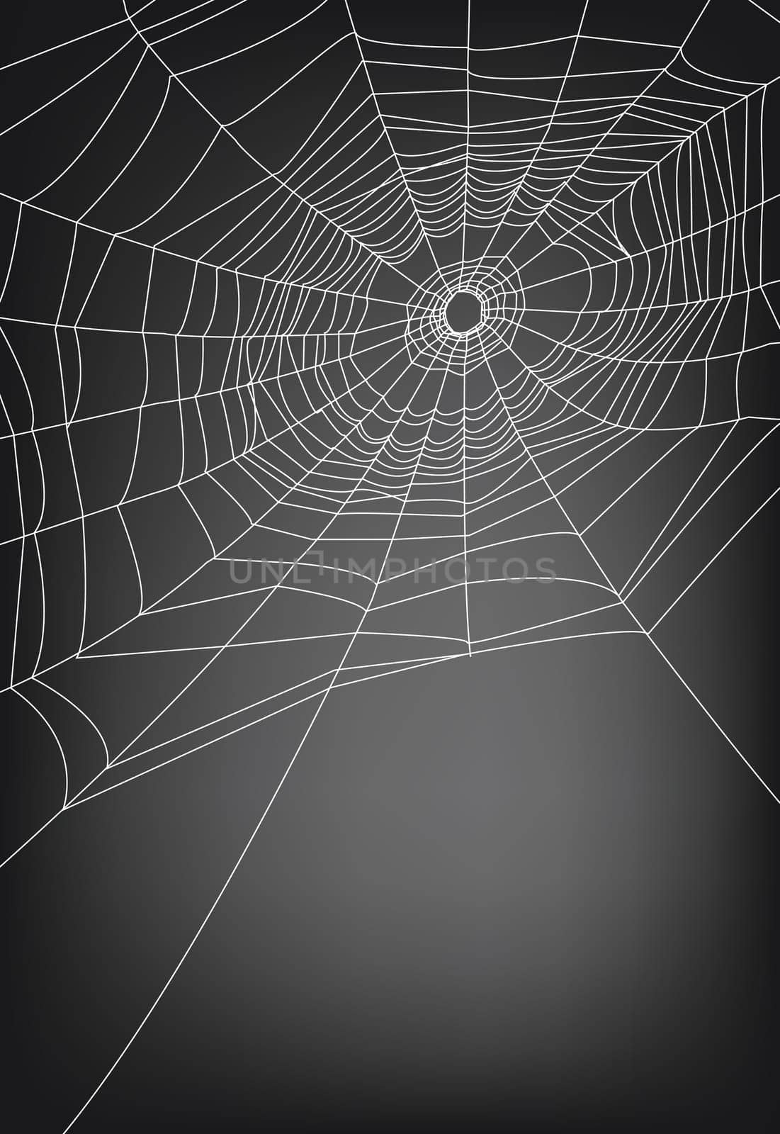 spider web illustration, for background.