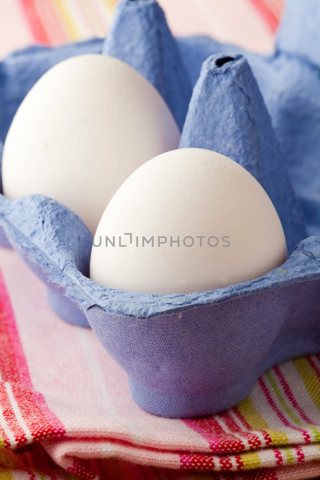 Close-up of white eggs in a blue carton
