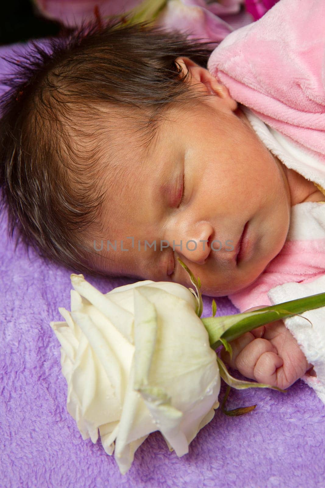 portrait baby