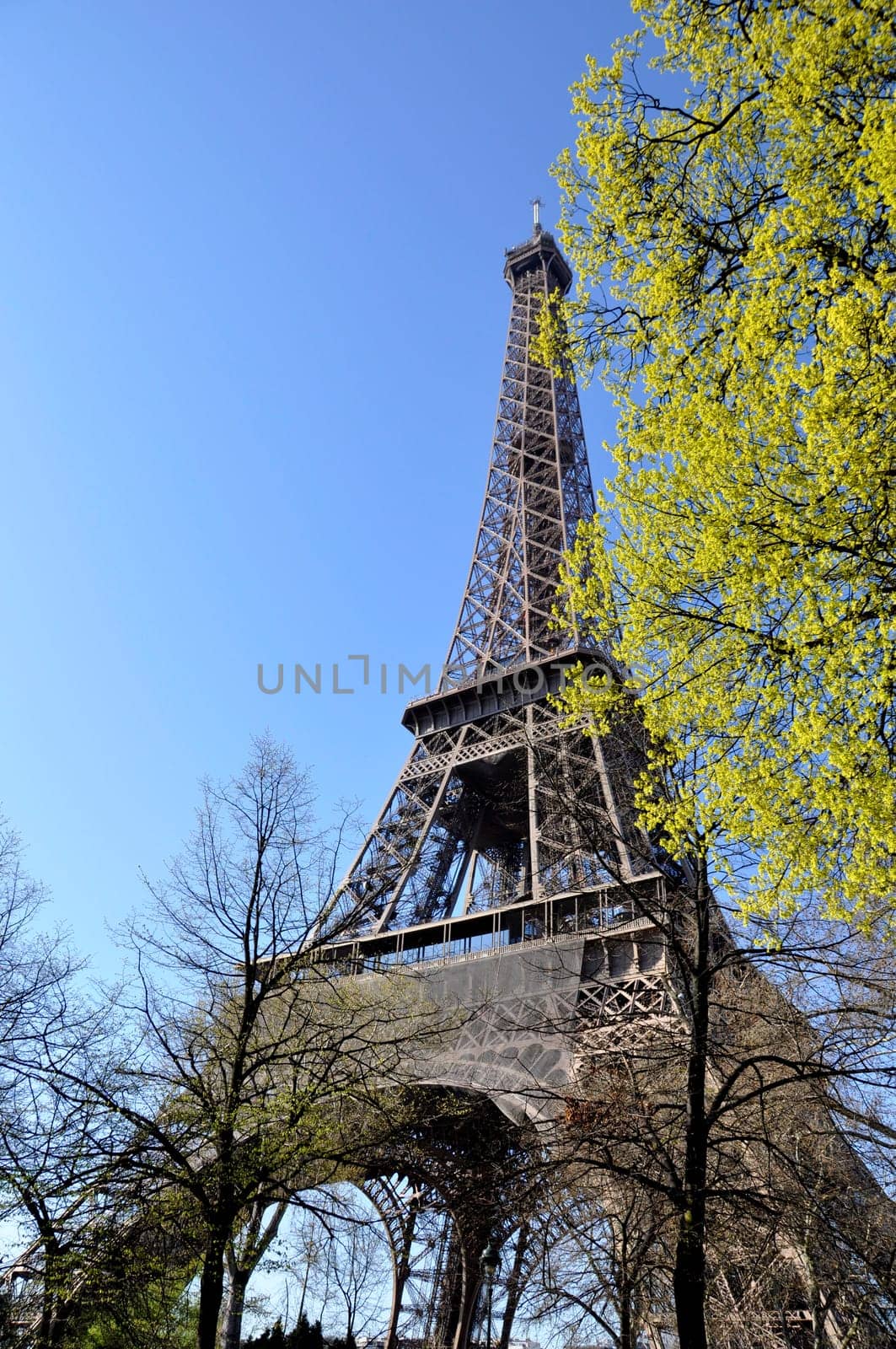 The Eiffel Tower, Paris, France