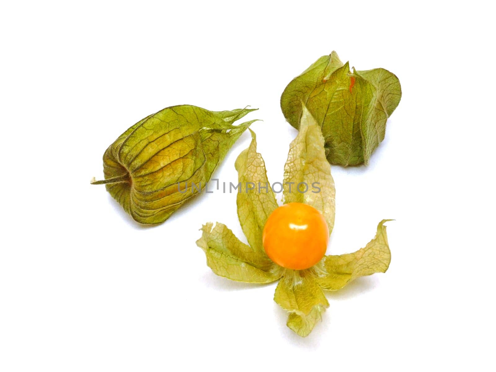 some physalis