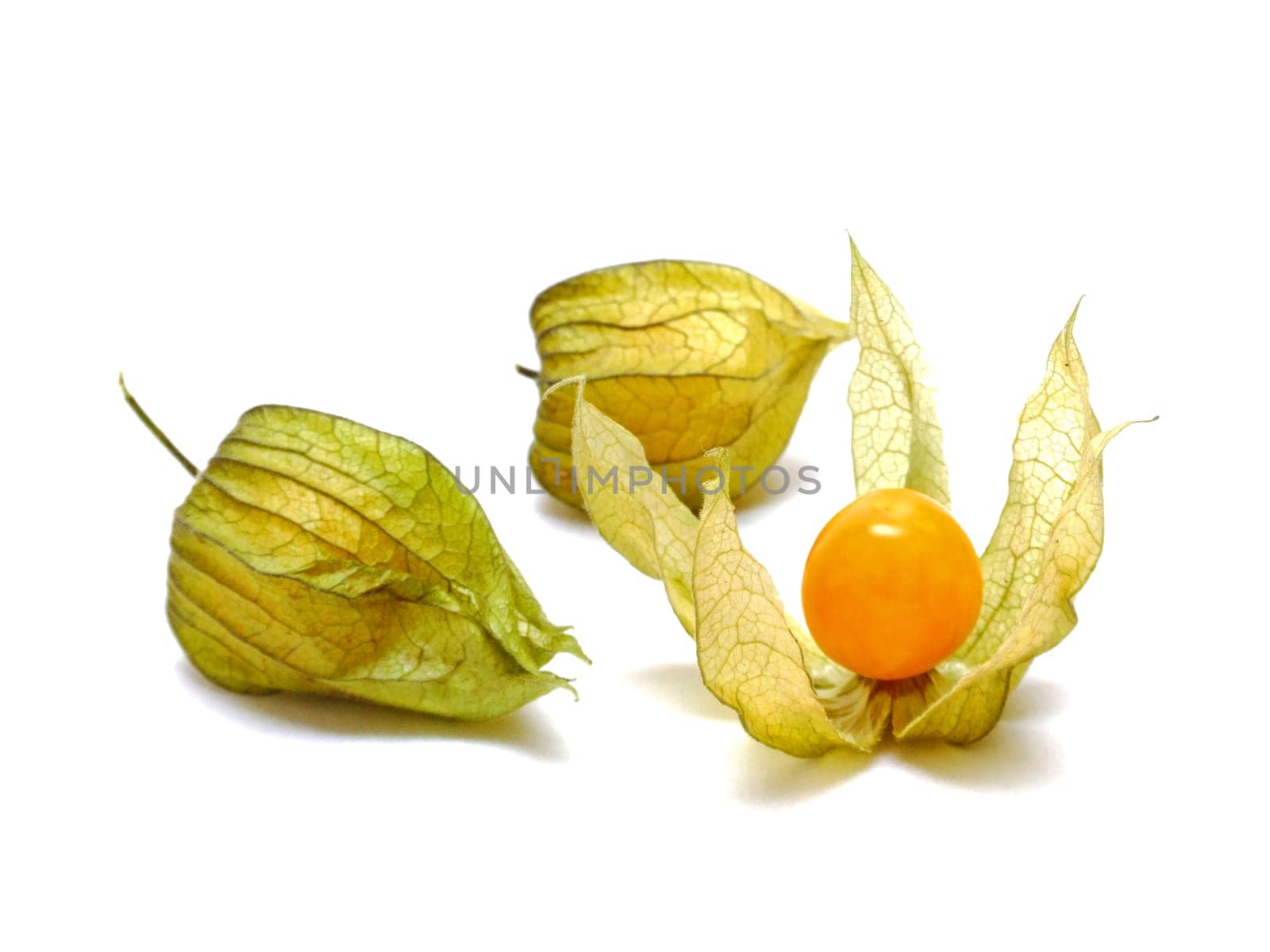 some physalis