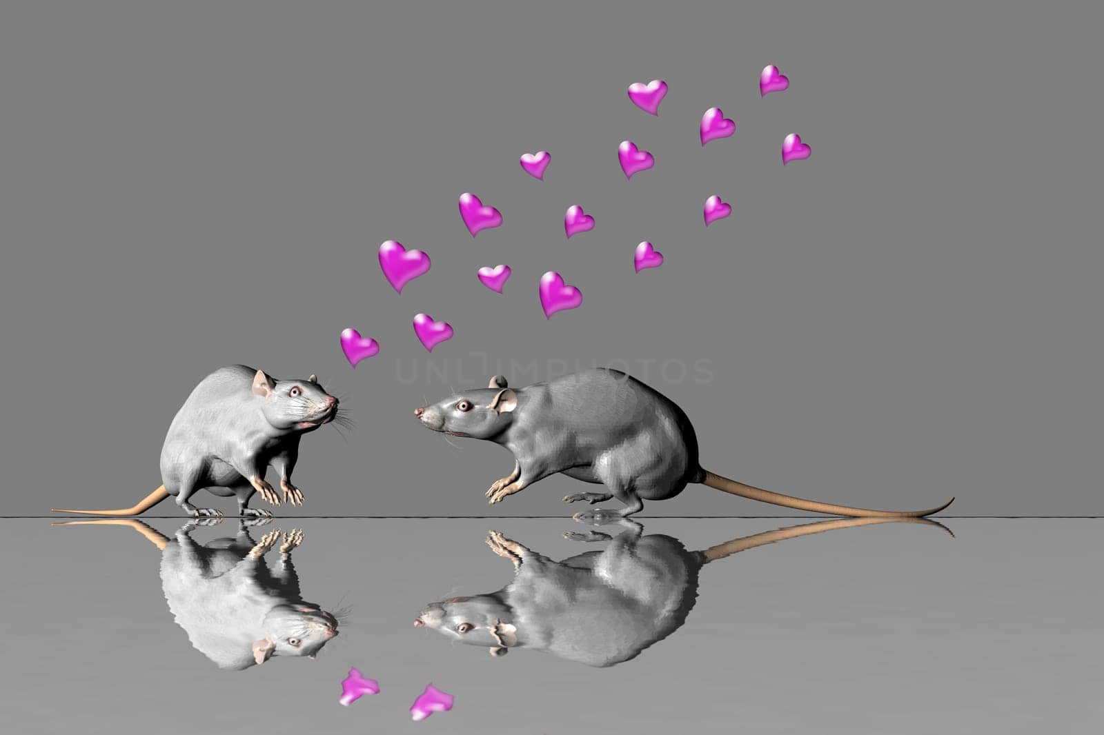 Rat Love