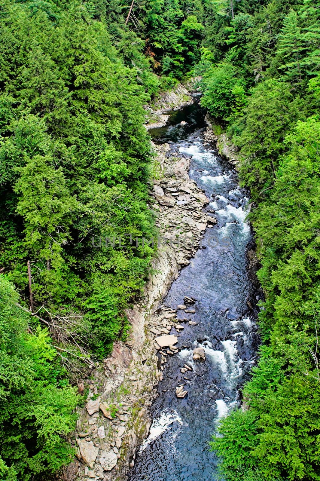 A deep gorge with a river at the bottom and surrounded by trees