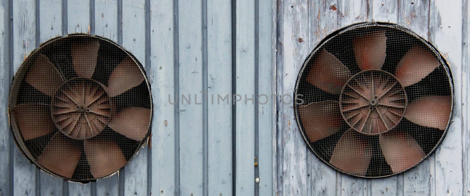Two fans
