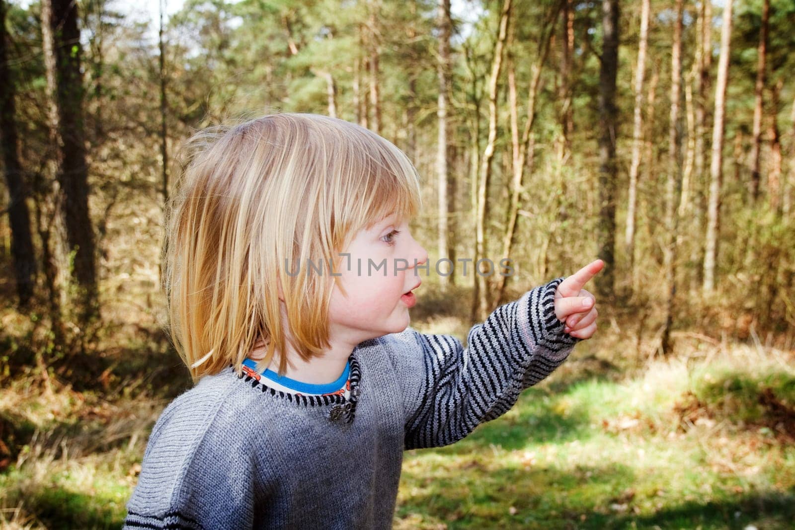 Child in forest looking scared or surprised. boy in wood with curious expression