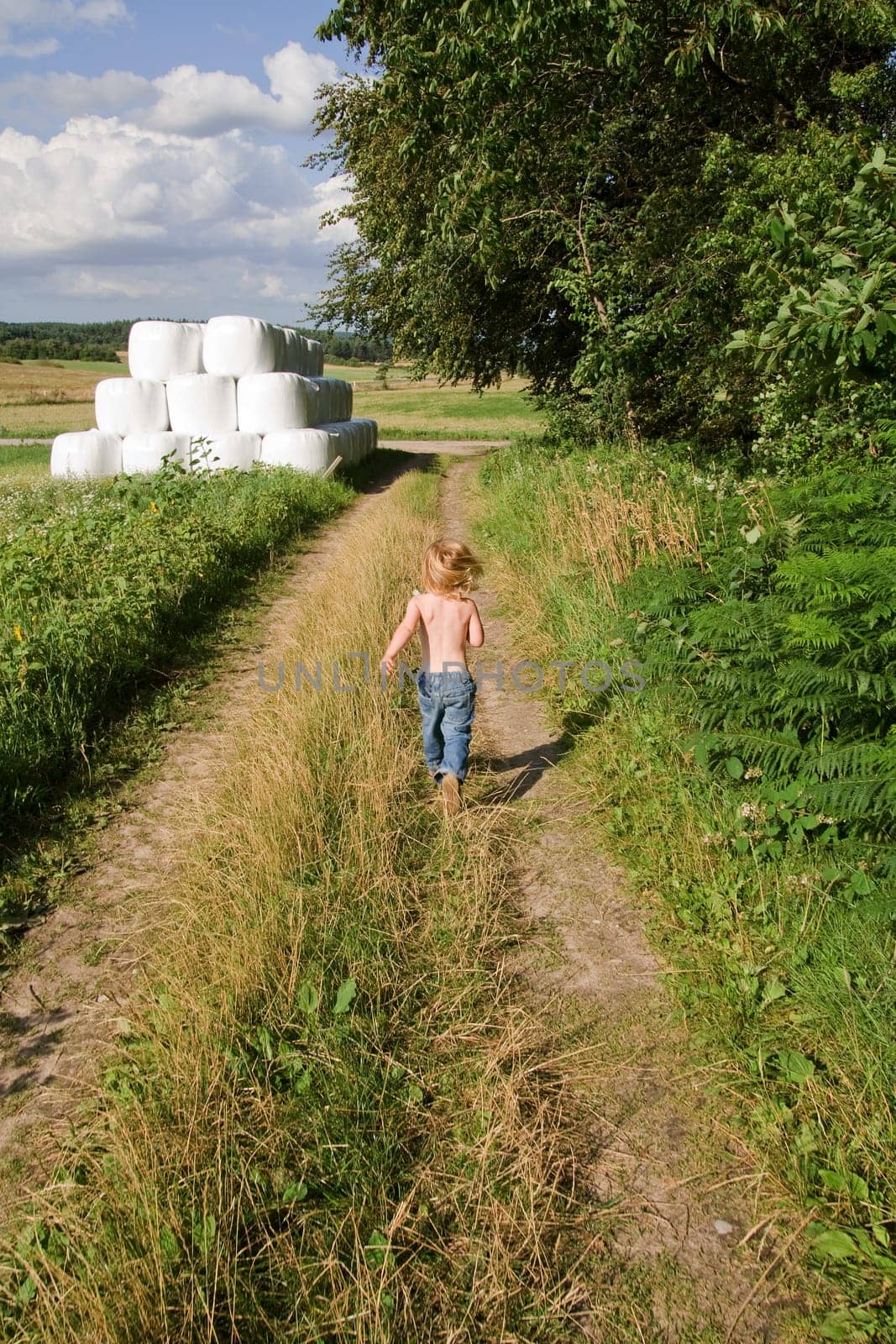 Child running down path by field or meadow. summer landscape with small boy enjoy his freedom