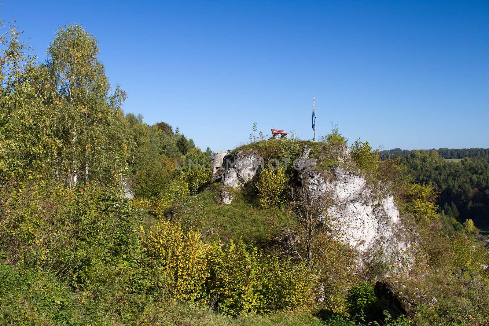 View