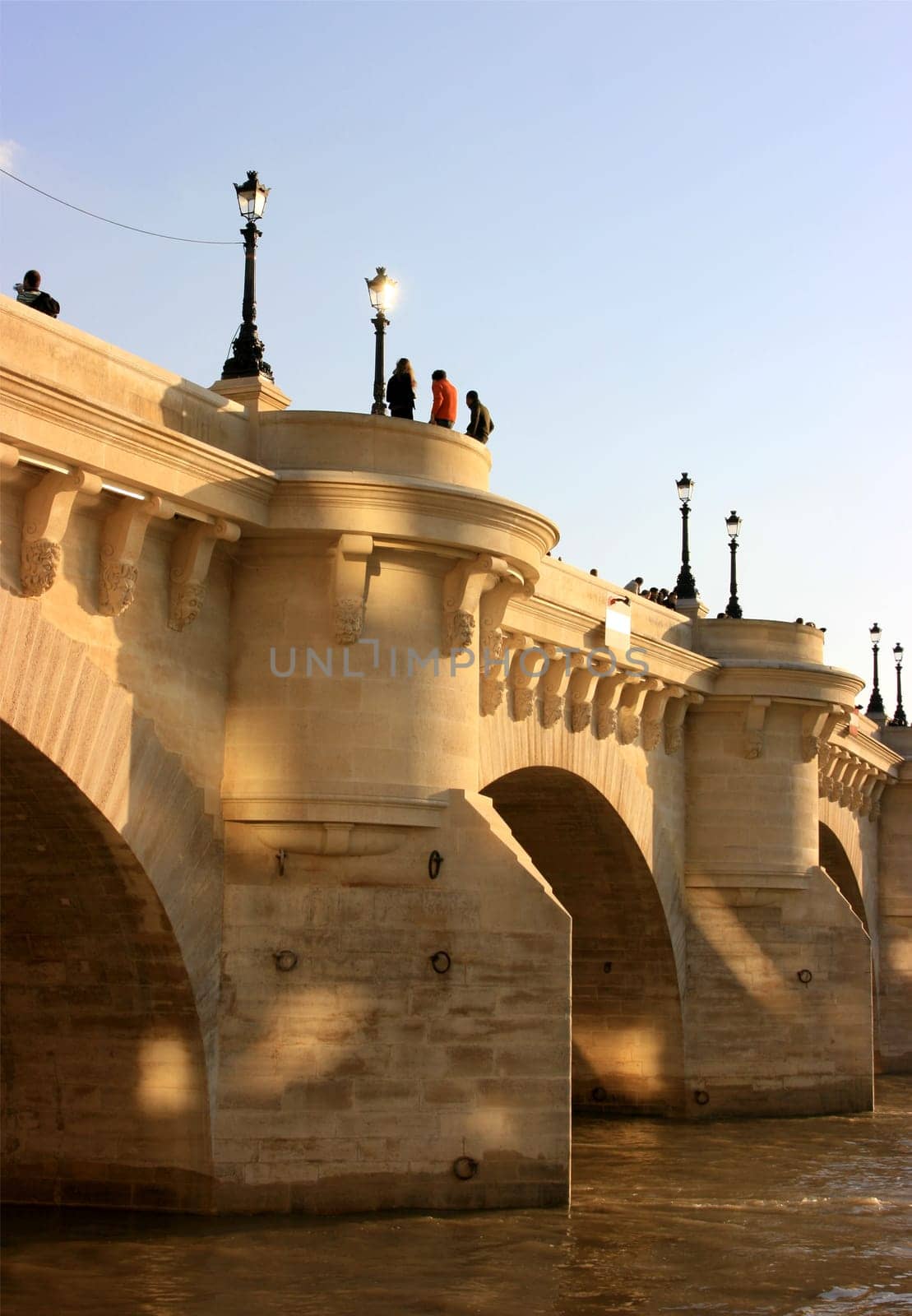 The Pont Neuf Bridge in Paris