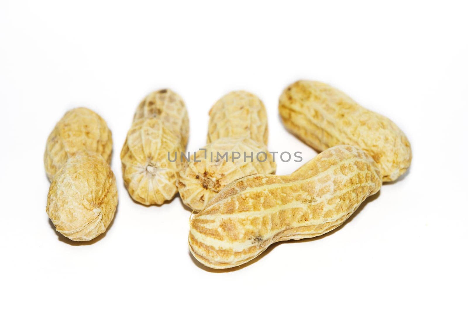 five pieces of peanuts, isolated on white background.