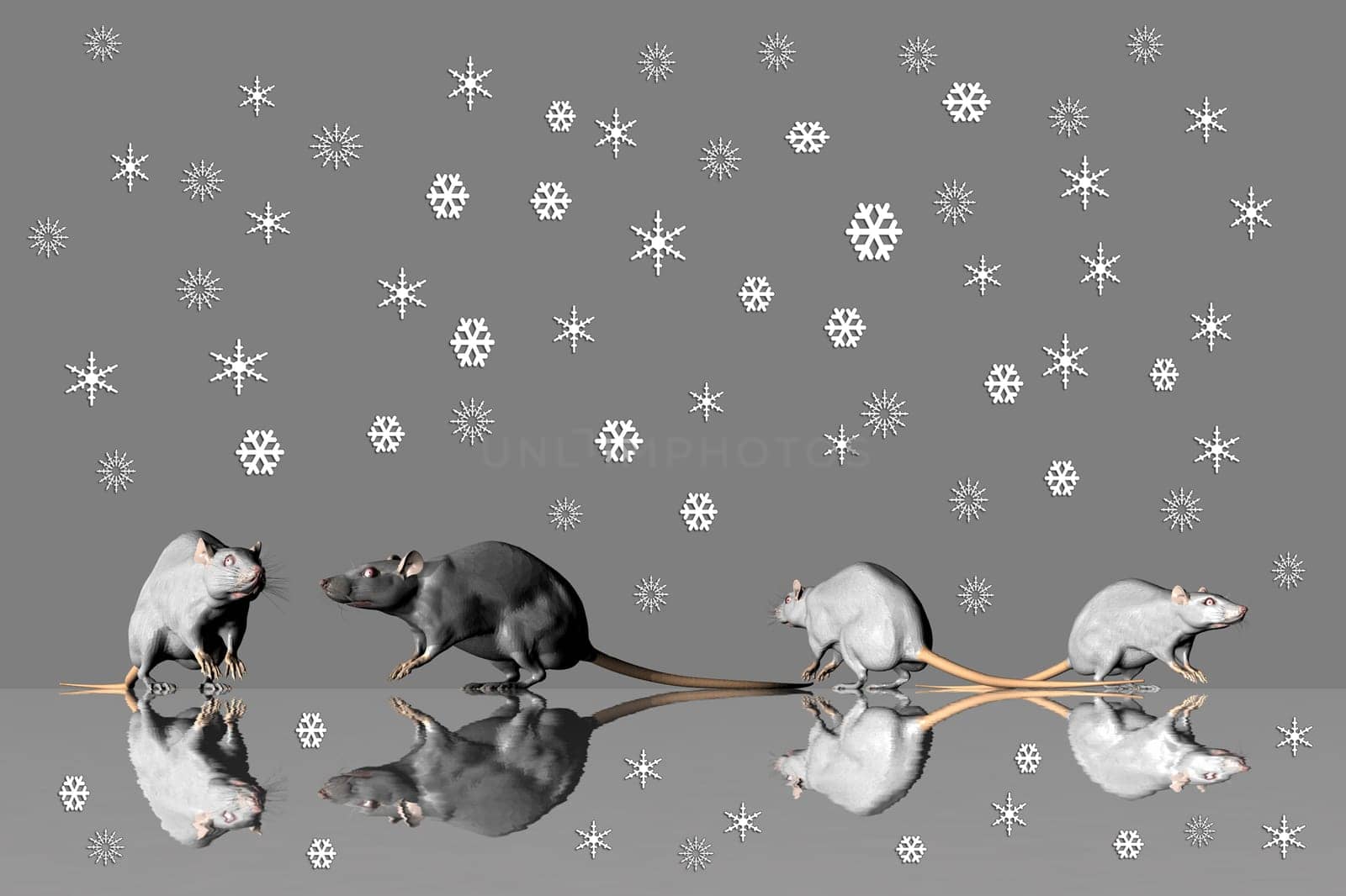 Black ice and snowflakes