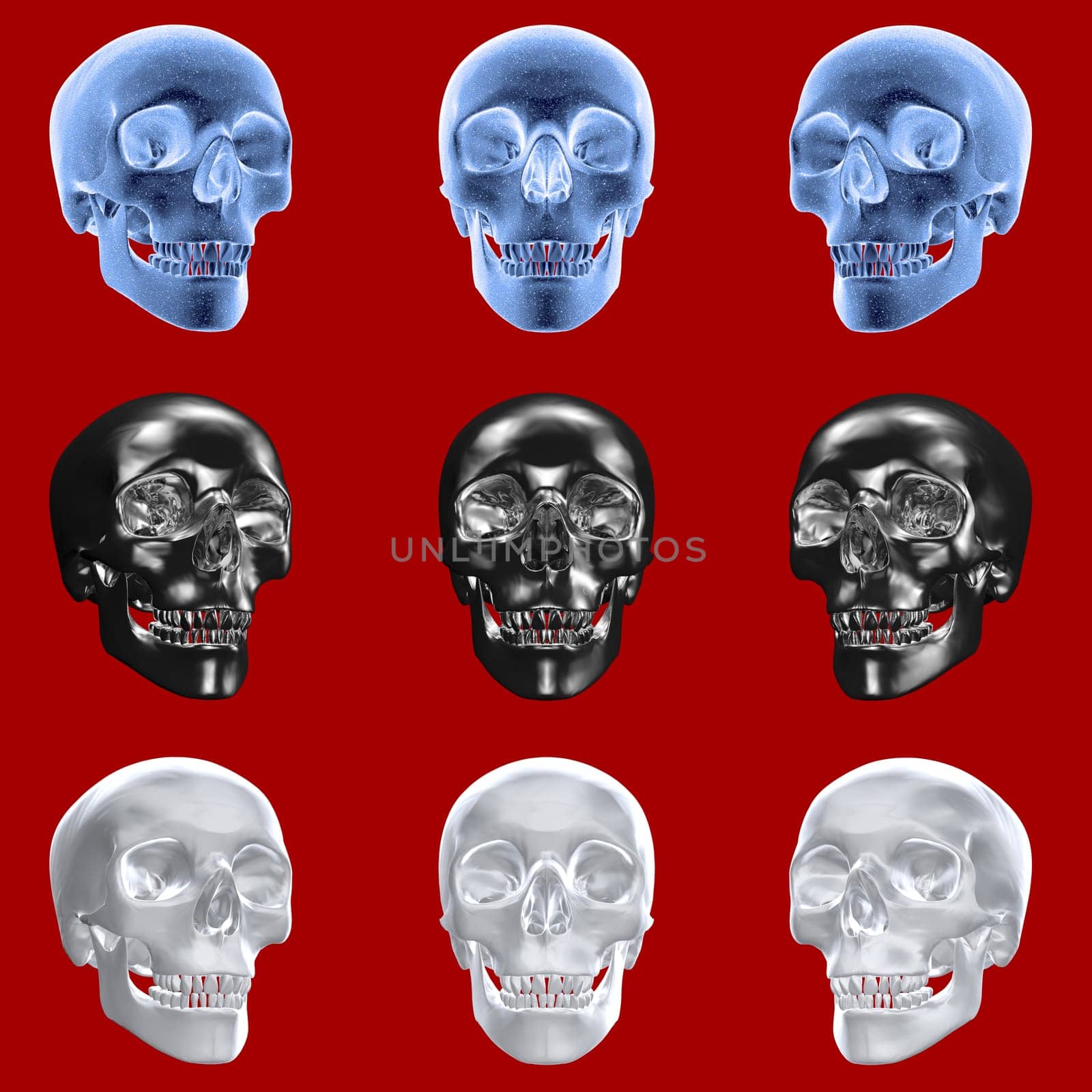 Skulls with various textures and views