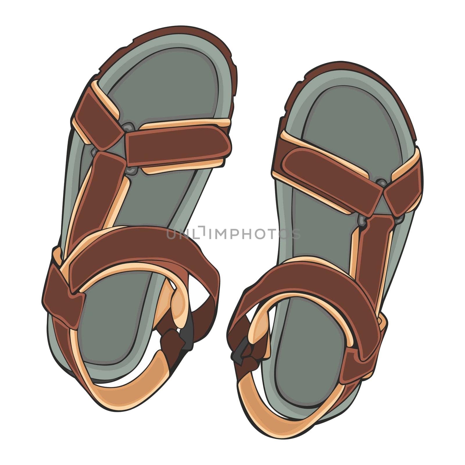illustration of isolated summer shoes