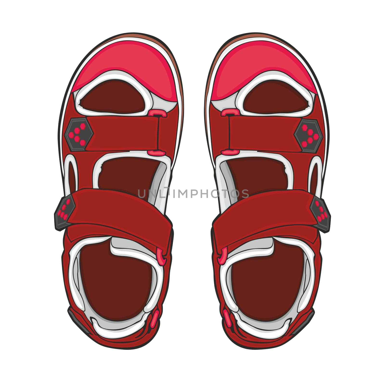 illustration of isolated summer shoes