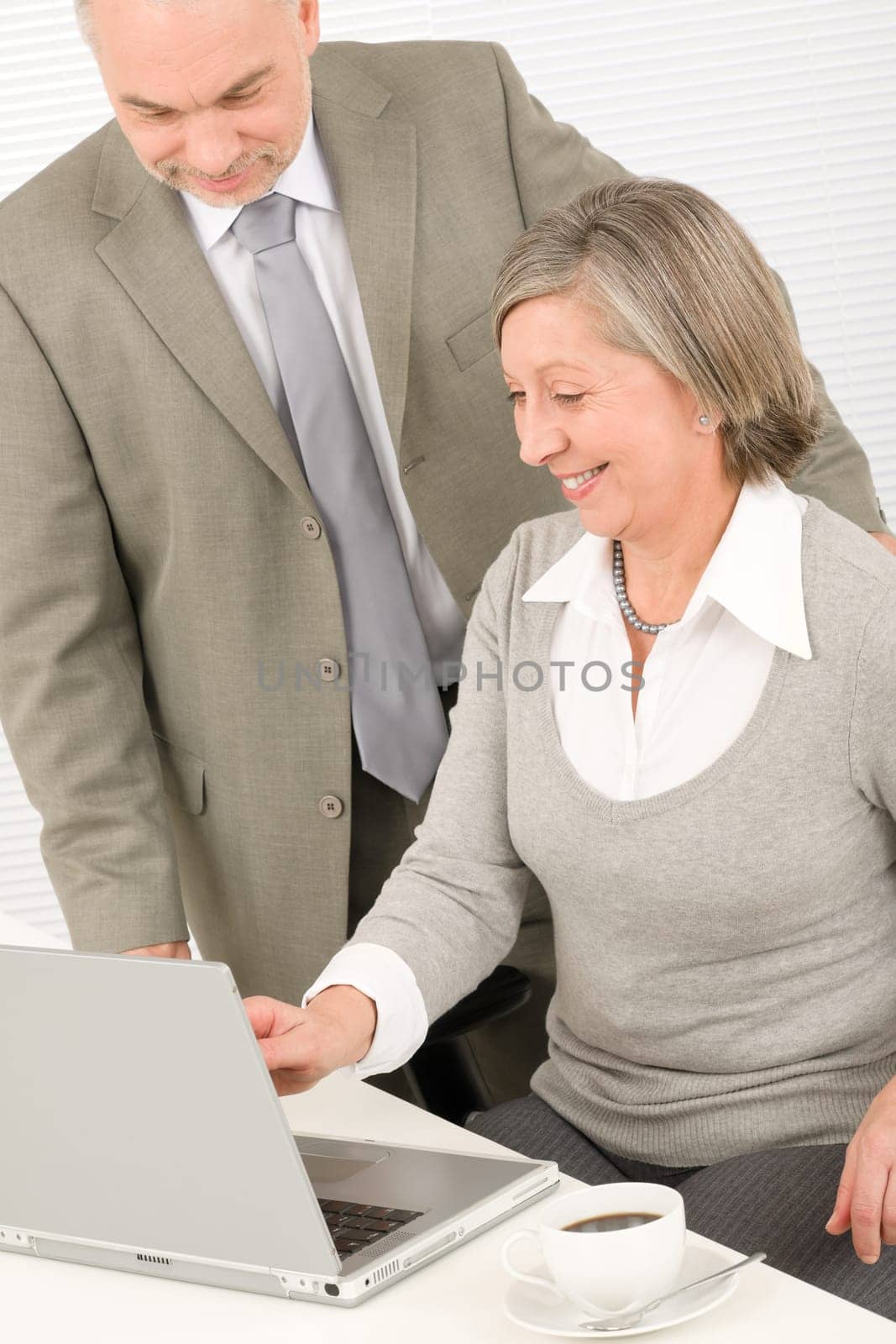 Professional senior businesswoman looking at computer with man colleague