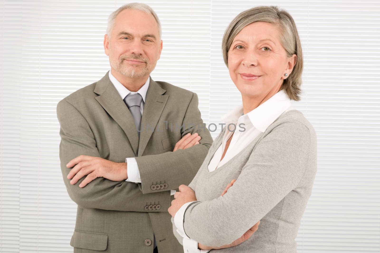 Professional elegant smiling senior businesspeople standing with cross arms