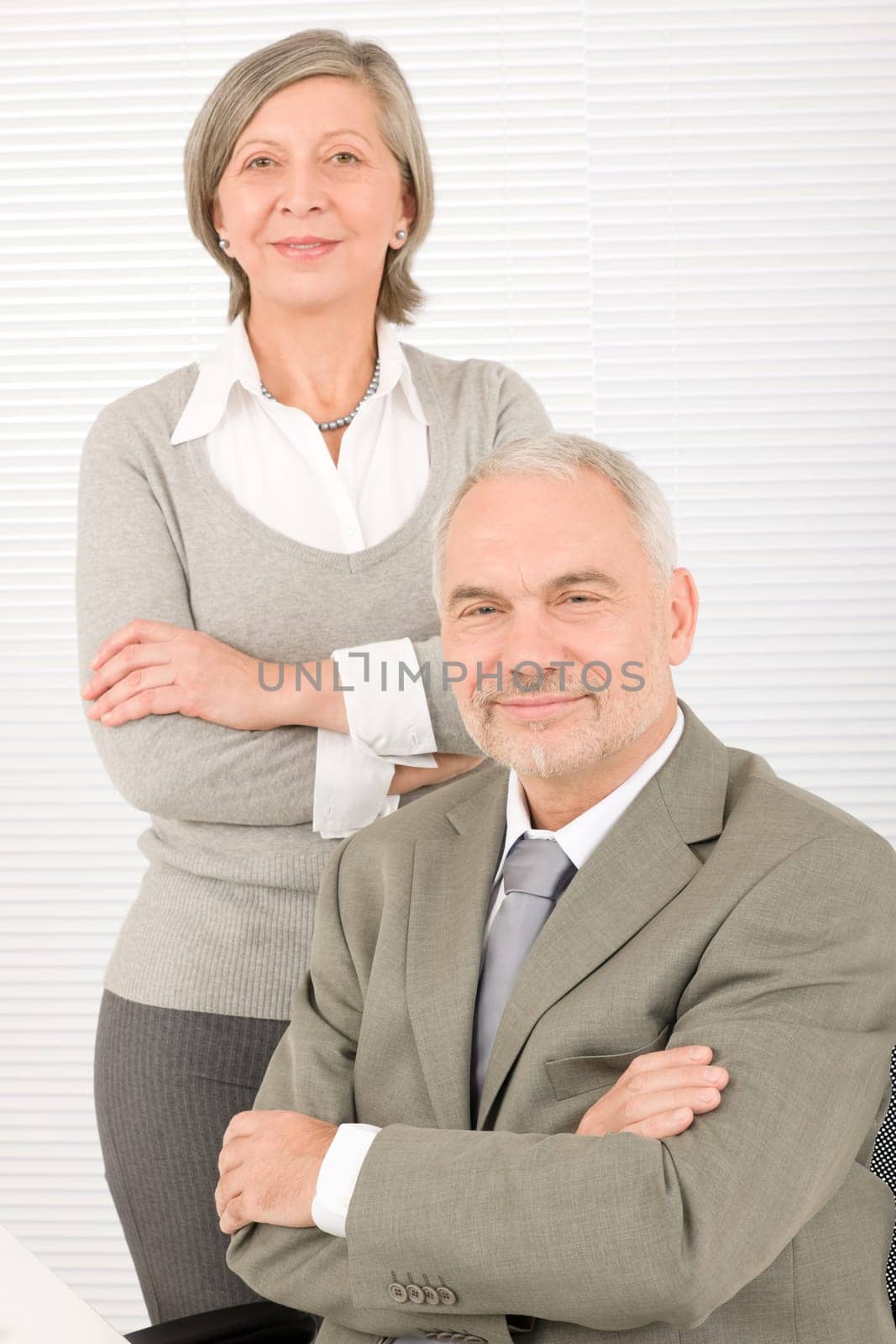 Professional elegant smiling senior businesspeople standing with cross arms