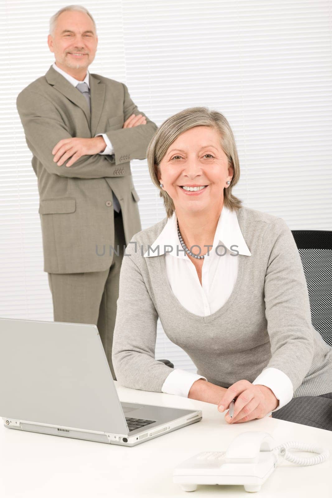 Professional businesspeople behind office table with laptop