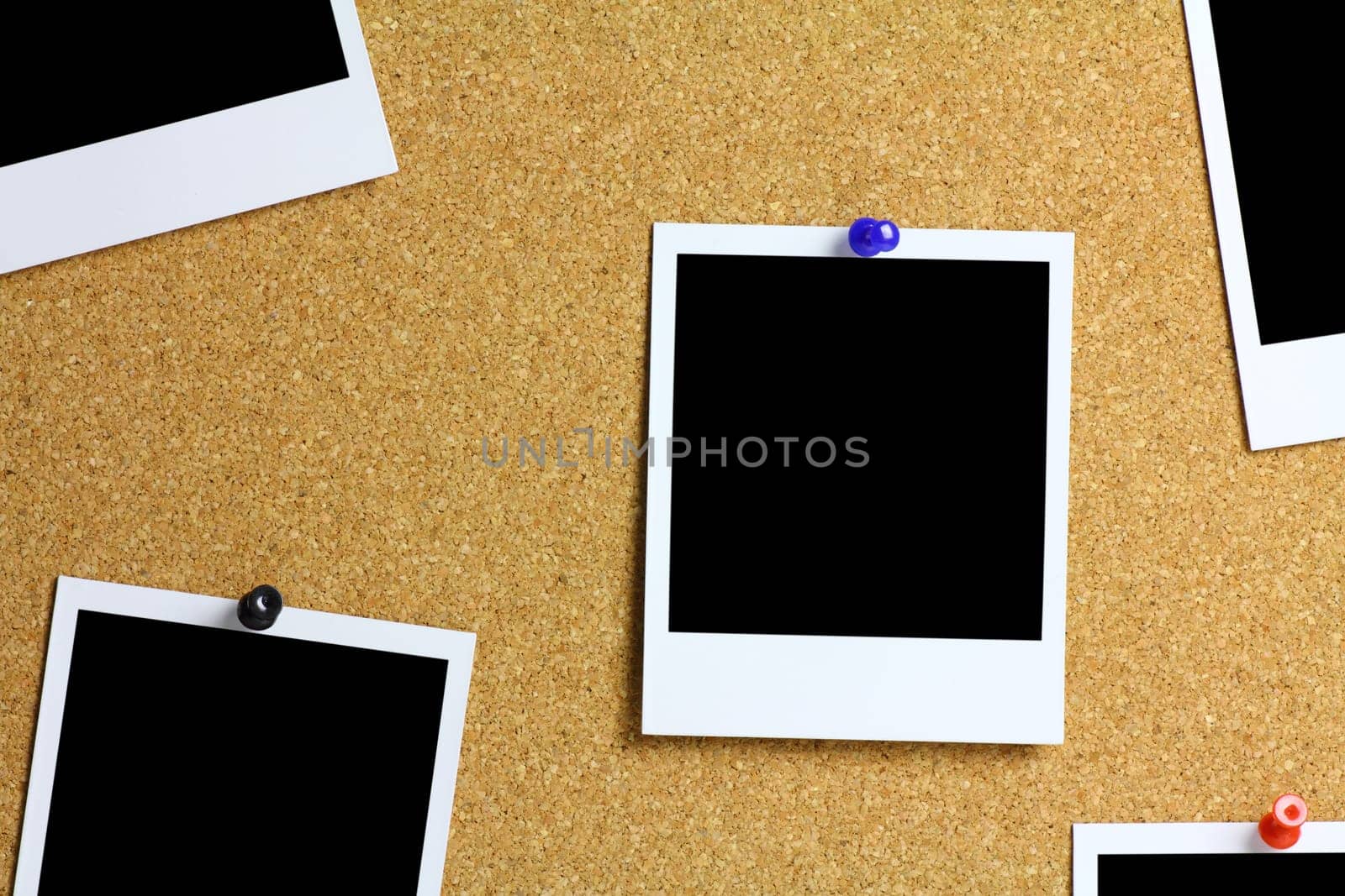 Polaroids on cork pinboard