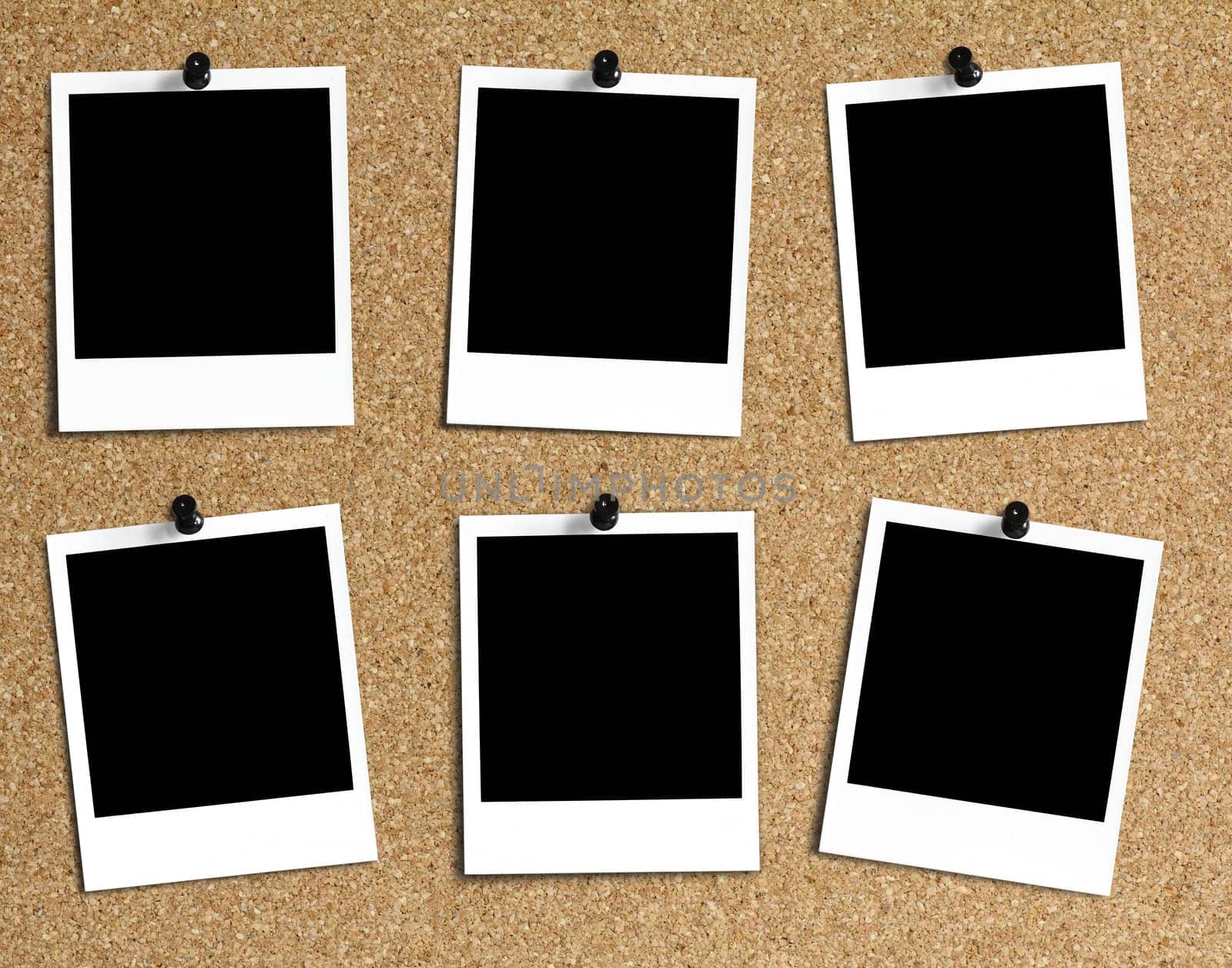 6 differently arranged Polaroids on cork pinboard