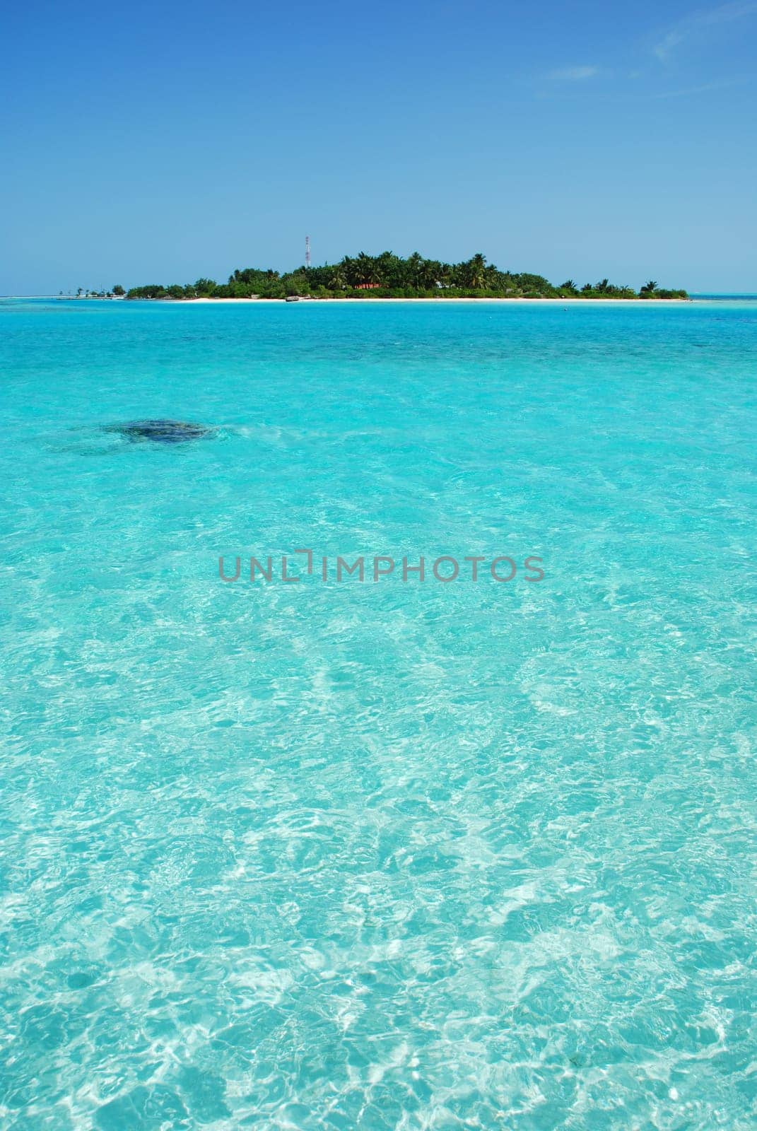 beautiful photo of a maldivian island with a great waterview