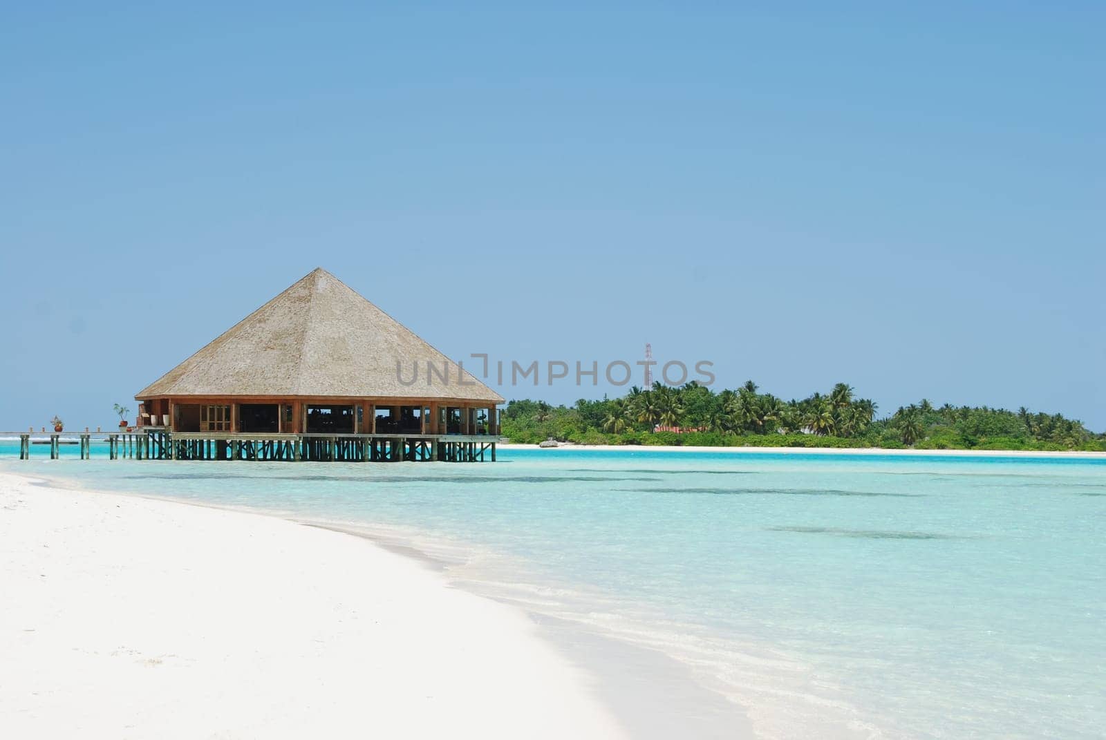 beautiful tropical beach and wooden bungalow in Maldives