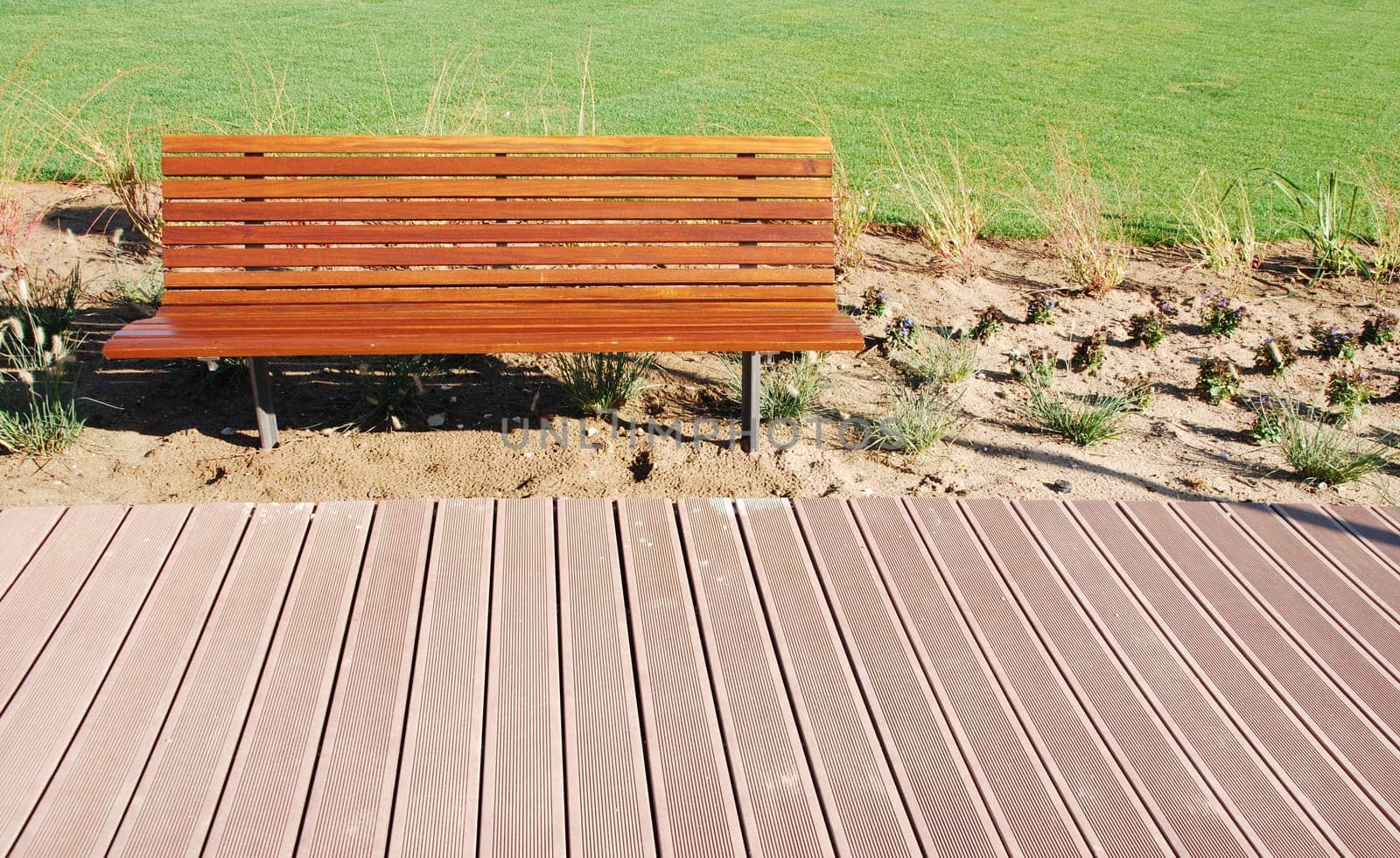 photo of a an empty park bench in a green park