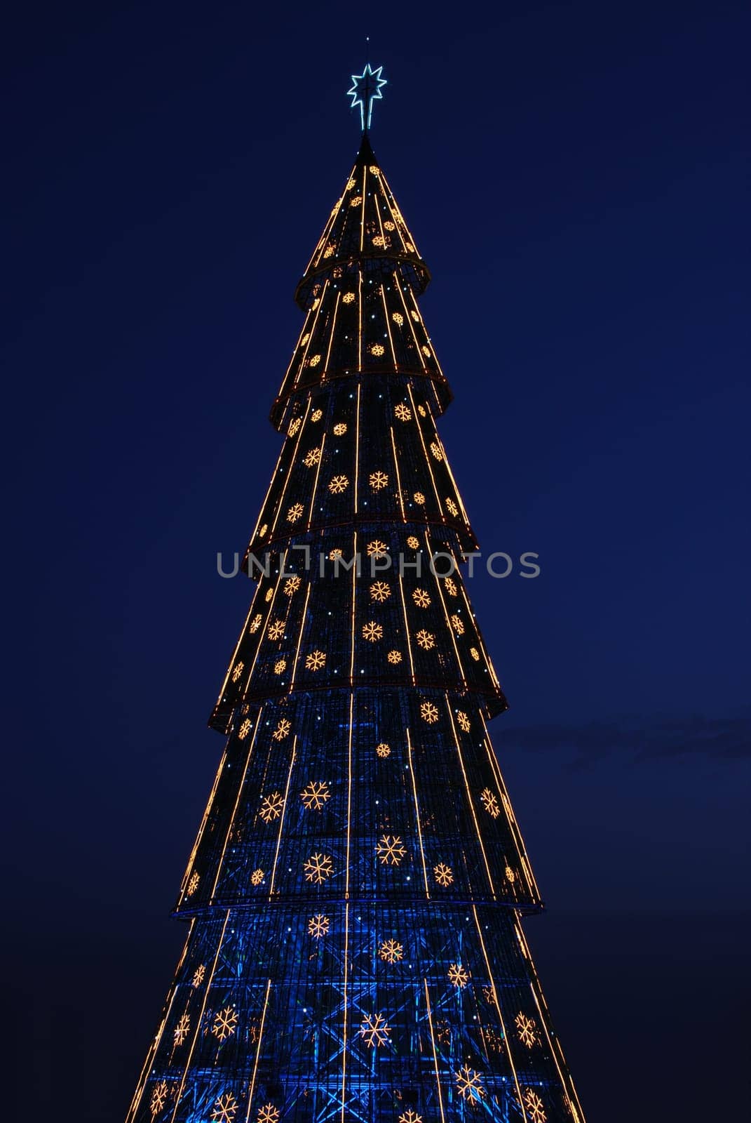 close up on a beautiful and tall Christmas tree