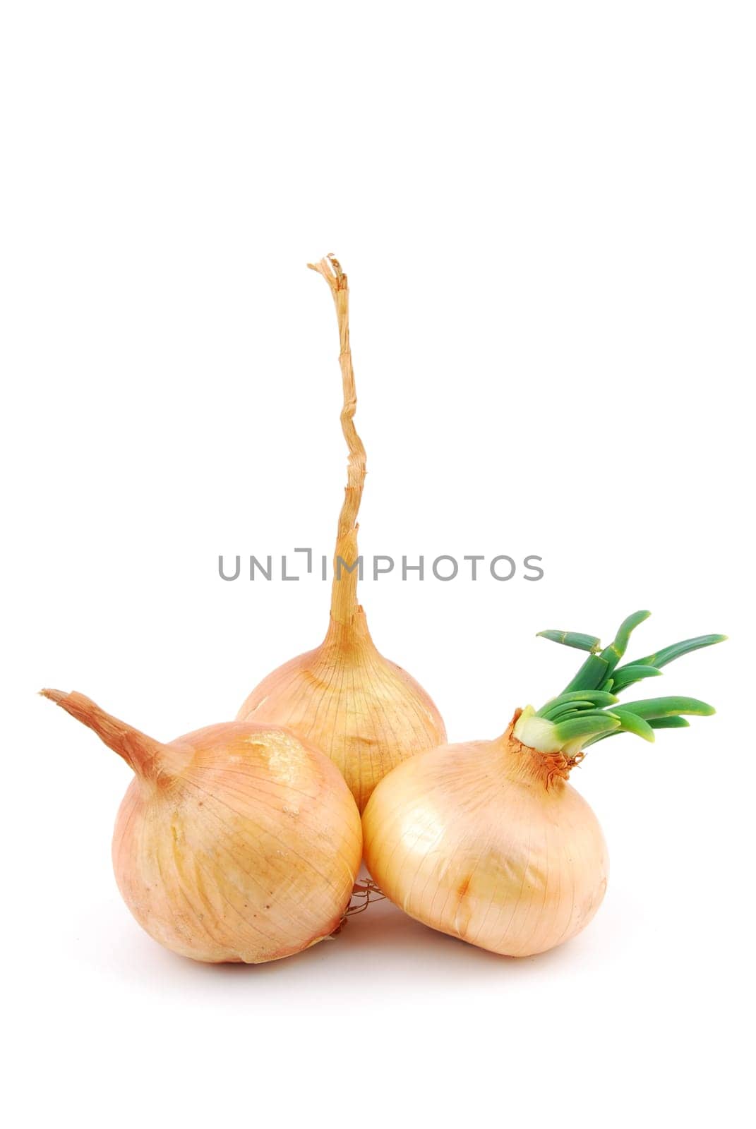 bunch of onions isolated on white background